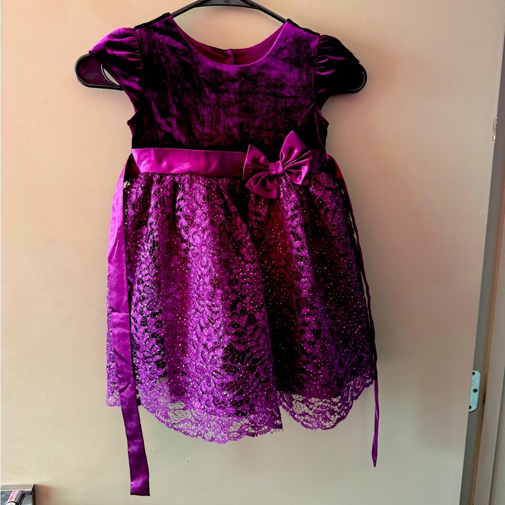 Purple velvet and lace 3T dress